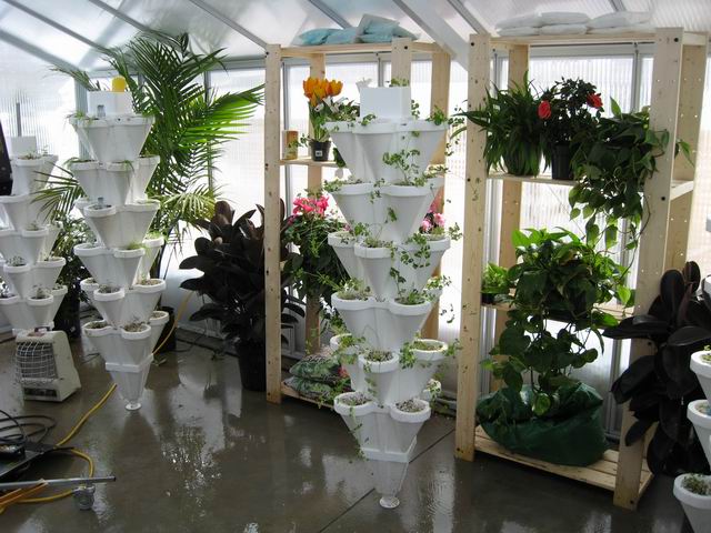 Greenhouse Interior