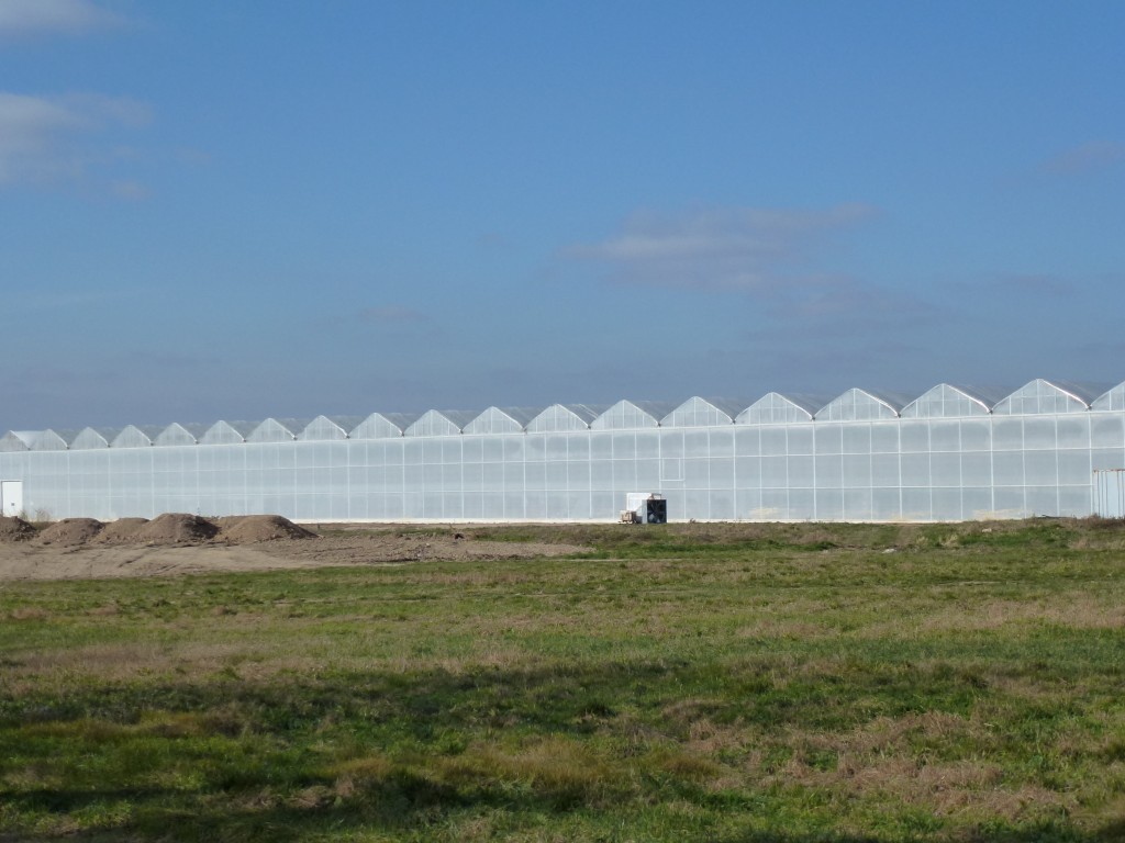 Greenhouse Gab Let’s get growing!